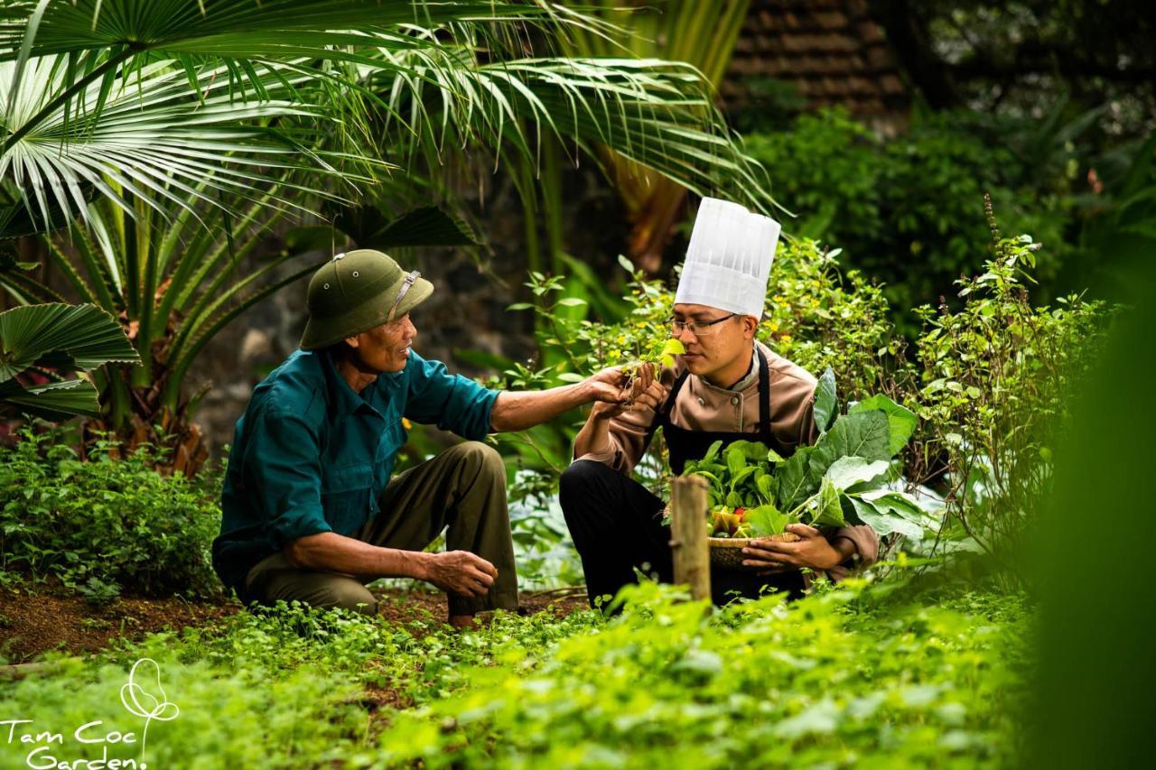 Tam Coc Garden Resort Ниньбинь Экстерьер фото