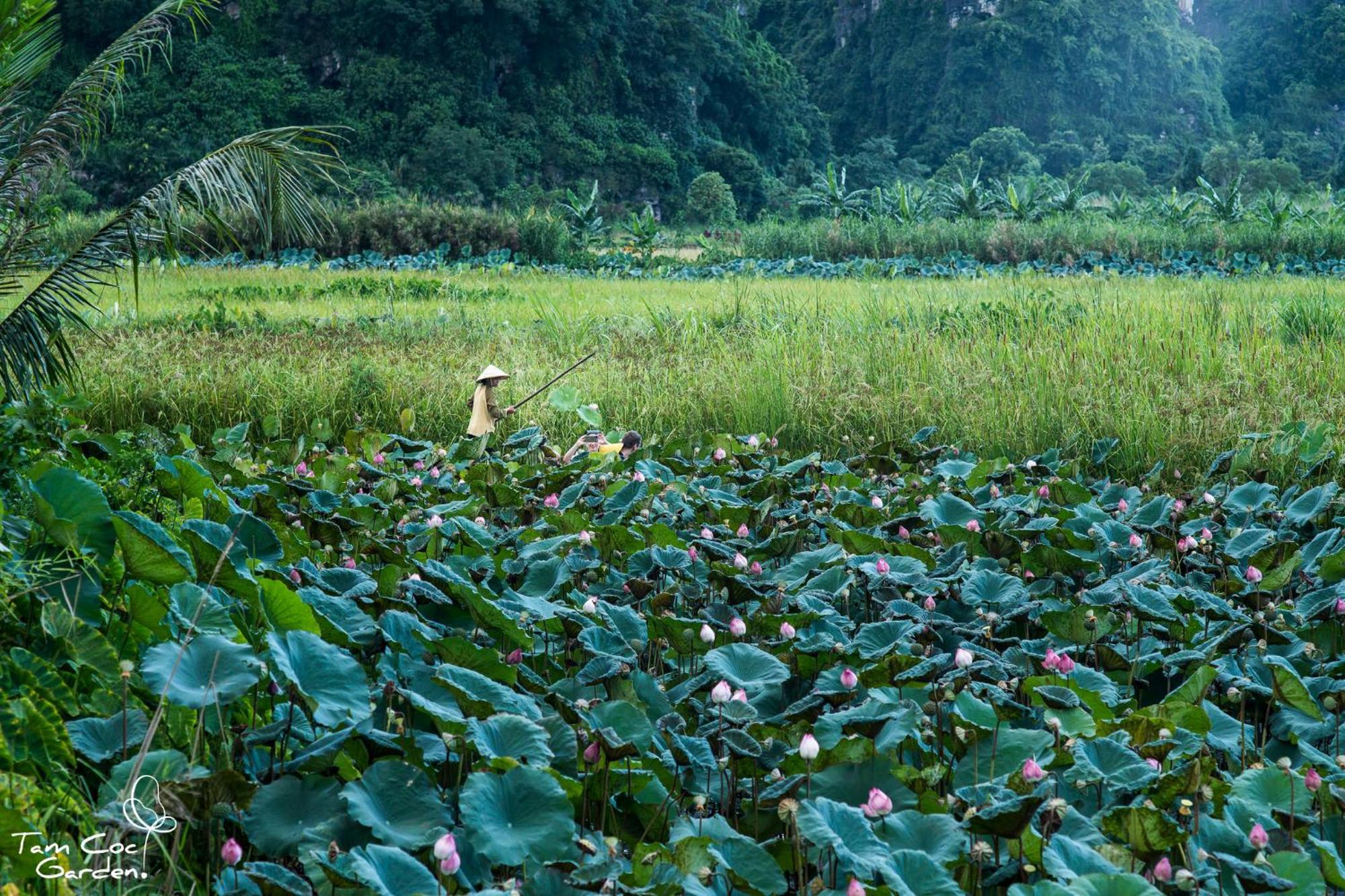 Tam Coc Garden Resort Ниньбинь Экстерьер фото